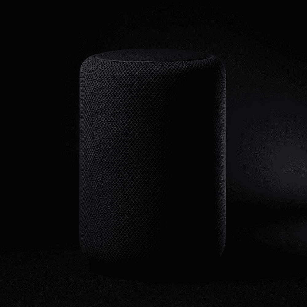 Voice Speaker